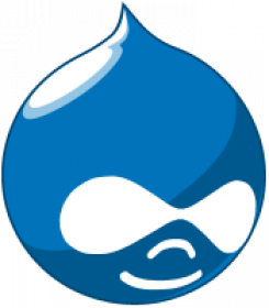 drupal icon
