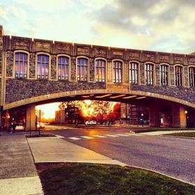 torg bridge