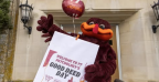 hokiebird